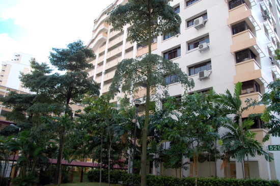 Blk 529 Jelapang Road (Bukit Panjang), HDB 4 Rooms #219112